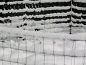 Snow Caught On Fence
Picture # 2387
